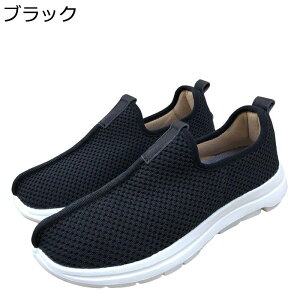 mC Y pV[Y Jt[V[Y Xb| K jbg Xj[J[ E֗ ʋC 傫TCY jp zC \tg o[\[ tbg Õ p Jt[ C 