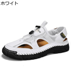 AEghAT_ T_ X|[c Y  Ȃ _ Snǂ ʋ Xj[J[ ₷ K ϖ ϋv v ʋC ʊw  ƌC LpX 