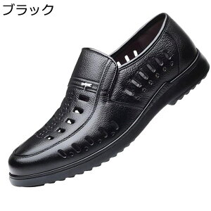 ItBXT_ rWlX hCo[T_ VRv ~ _炩 Y   y h ʋC zhL ̓v[g Г RtH[g  Xbp