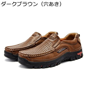 VRv hCrOV[Y Y rWlXV[Y Ȃ ʋC ̓v[g EȒP  ~ K zhL Sn  ₷ ʊw w