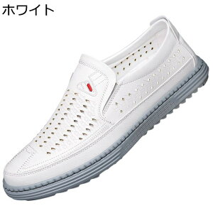 ItBXT_ VRv hN^[T_ Y    ~ _炩  y h ʋC zhL E rWlX Г RtH[g  Xbp