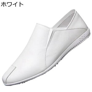 Y ItBXT_ hCo[T_ Ȃ ʋC rWlX EȒP y ϋv h zhL RtH[g JbR ₷ ʊw w Xbp  