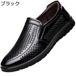 T_ Y ItBXT_ VRv rWlX _炩 Ȃ ʋC E EȒP  ~ K zhL Sn  ₷ ʋ  Xbp 