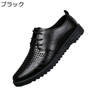 T_ Y rWlXT_ Ȃ ʋC  EȒP ItBX RtH[g  ~ K zhL Sn  ₷ ʋ  Xbp  