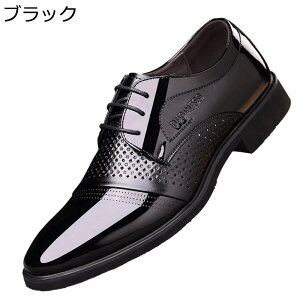 rWlXT_ Y ItBXT_ Ȃ VRv ʋC ̓v[g EȒP  ~  K zhL Sn  ₷ ʋ  