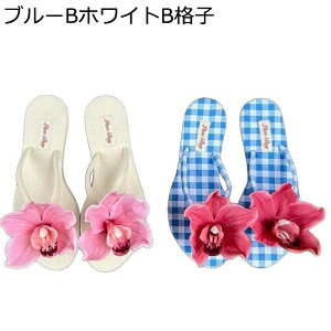 t[ fB[X T_ y ₷ r ][g v[ gOT_ C r[` s U  p[eB[ I[vgD 炩 gAbv 䟭 Vv  ϋv