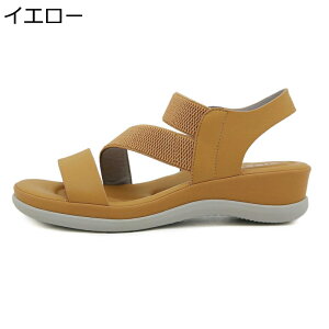 fB[X T_ tbgV[Y ɂ ₷ RtH[gC ėp r[`T_ 傫TCY ʋC  JWA ItBX EH[LO