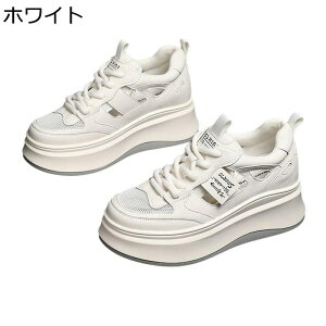 JWAT_ fB[X Xj[J[  ₷  RtH[g ʋC ~ ɂ T}[V[Y  y AEghA ItBX EH[LO