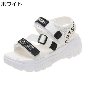 r[`T_ fB[X  tbgV[Y ₷ JWAT_ X|[c ėp  }WbNe[v K Ȃ  fC[ ʋ ItBX s