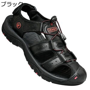 T_ Y AEghA X|[cT_ ܐی ėp ₷ K Ȃ ϋv y h r[` oR WMO EH[^[V[Y 풅p 傫TCY