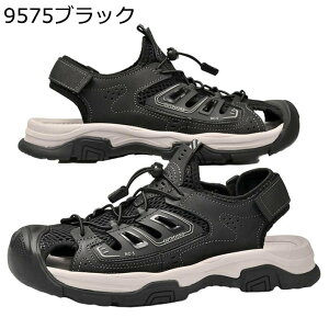 X|[cT_ Y r[`T_ RtH[g  ₷ ₷ ʋC AEghA ~ ܐی NC~O s  V Xj[J[ 傫TCY