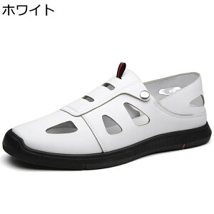 Y T_ JWA rWlX vT_  Xb| RtH[g ₷ Ȃ Vv ɂ y m[X[u hCo[V[Y Ep 풅p