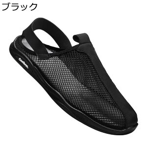 X|[cT_ AEghAT_ bV j  Ȃ ʋC ϋv RtH[g O ʋ _炩 Xj[J[ nCLO gx ʊw   LpX Vv