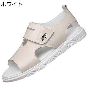 T_ Xj[J[T_ Y zhL Vv v }WbNe[v Ȃ ʋC ʊw  EȂ LpX ϋv EȒP AEghA  JWAV[Y Xb|