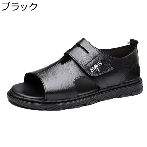 T_ Xj[J[T_ Y zhL Vv v }WbNe[v Ȃ ʋC ʊw  EȂ LpX ϋv EȒP AEghA  JWAV[Y Xb|