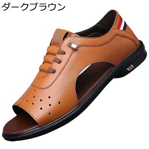 VRv X|[cT_ T_ V[Y j  Ȃ O Ȃ h _炩 gh x[VbN ʋ AEghA ʊw 풅p ƌC LpX 