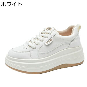 _bhXj[J[ C fB[X  y XP[g{[hV[Y gUP EH[LO [XAbvV[Y h y h Sn ₷ Vv o W[ tH