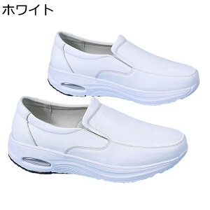 Xj[J[  i[XV[Y Y fB[X EH[LOV[Y Xb| y Ōtp dp ʋC ɂ \tg  s gx ʊw ItBX tďH