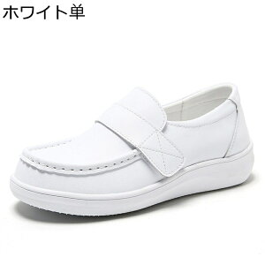 Xj[J[ C i[XV[Y fB[X xN 傫TCY EH[LOV[Y y @p d h ~ Ռz EȒP RtH[g Vv ʋΒʊw t