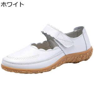 Xj[J[  i[XV[Y fB[X xN EH[LOV[Y y Ōtp dp h NbV  _炩  d p o fC[ tďH