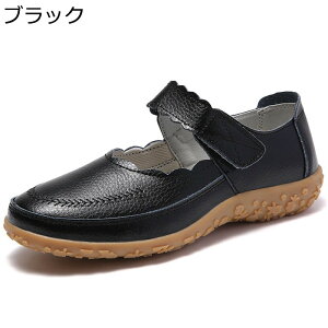 Xj[J[  i[XV[Y fB[X xN EH[LOV[Y y Ōtp dp h NbV  _炩  d p o fC[ tďH