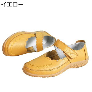 Xj[J[  i[XV[Y fB[X xN EH[LOV[Y y Ōtp dp h NbV  _炩  d p o fC[ tďH