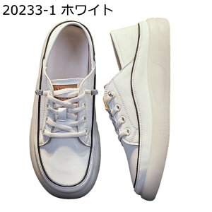_bhXj[J[ C fB[X gUP r y Ɠ߂ 傫TCY X|[cV[Y [XAbvV[Y h ~ Ռz  ʋ ʊw i s tH