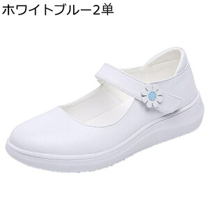 Xj[J[  i[XV[Y fB[X xN EH[LOV[Y y Ōtp dp p`O ϖ ʋC h \tg  d p o fC[ tďH