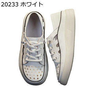 _bhXj[J[  fB[X vC y p`OH Ɠ߂ [XAbv 傫TCY EH[LOV[Y h NbV  _炩 Vv o W[