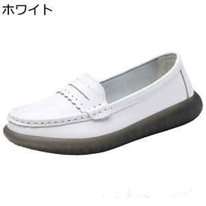 i[XV[Y fB[X JWAV[Y DwC Xb| y Xj[J[  @p d C tbg h h _炩 Vv o W[ g[jO t