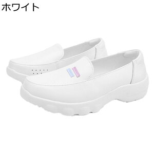 Xj[J[  i[XV[Y fB[X JWAV[Y y @p Ōt m ϖ ʋC h 傫TCY Sn ₷ Vv s gx ʊw ItBX 