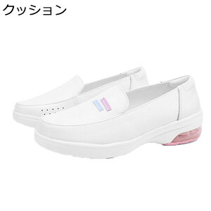 Xj[J[  i[XV[Y fB[X JWAV[Y y @p Ōt m ϖ ʋC h 傫TCY Sn ₷ Vv s gx ʊw ItBX 