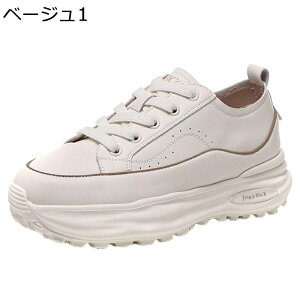 Xj[J[  fB[X U[ r y X|[cV[Y [XAbvV[Y h ^C EH[LO NbV  ₷  ʋ ʊw i s tH