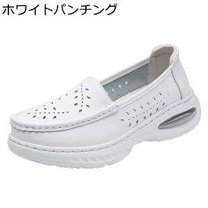 Xj[J[  i[XV[Y fB[X JWAV[Y Xb| y Ōtp dp ʋC ɂ Sn ₷  ʋΒʊw 풅p U tďH