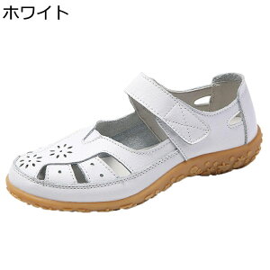 C i[XV[Y fB[X xN p`O T_ y @p d  h ~ Ռz Xj[J[ K Vv o W[ g[jO lGKp