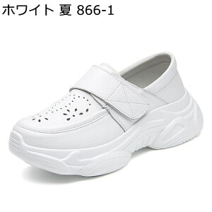 V[Y Xb| i[XV[Y fB[X xN ~ y 5cmAbv Xb| _ NbV Ey L @p Ōt m EH[LO 