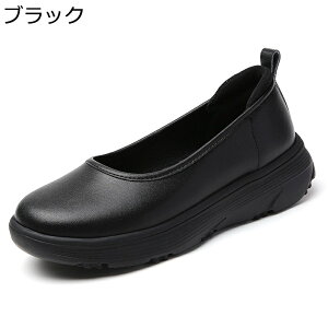 Xj[J[ C i[XV[Y fB[X JWAV[Y y Ōtp dp h ~ Ռz Sn ₷ Vv d p o fC[ lG