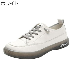 [XAbv Xj[J[  fB[X U[ tbgV[Y vC y JWAV[Y ϖ ʋC h Ȑ tBbg Vv o W[ g[jO ʔNKp