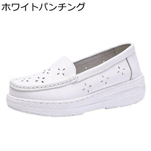 Xj[J[ C i[XV[Y fB[X JWAV[Y p`OH y @p d Xb|  ʋC ɂ _  ʋ ʊw i s tH