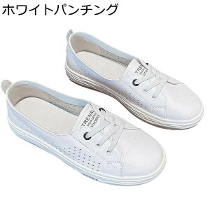 [XAbvV[Y tbg fB[X vC  IV y Xj[J[ X|[cV[Y JWA h ~ Ռz _炩 ʔNKp ig AEghA EH[L