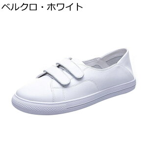 _bhXj[J[ fB[X tbgV[Y Xbp ƂȂ [X  y Xb| U[ h ~ 傫TCY _  ʊw ʋ AEghA EH[L