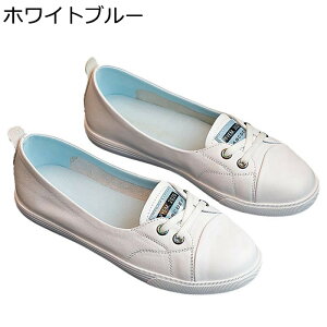 tbgV[Y vC Xj[J[  fB[X  y JWAV[Y [XAbv h NbV  _ Vv nCLO X|[c W[p tďH