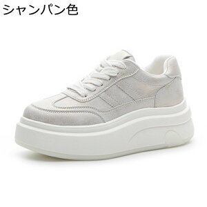 Xj[J[ C fB[X U[ r y EH[LOV[Y [XAbvV[Y ϖ ʋC h Sn ₷ Vv ʋΒʊw 풅p JWA f[g ʔNK