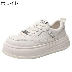 Xj[J[ C fB[X y X|[cV[Y [XAbvV[Y ϋv h ϖՐ _炩 gAbv JWA Vv o W[ g[jO lGKp