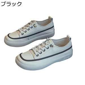 C fB[X Xj[J[ V[NbgV[Y [XAbv vC  傫TCY y X|[cV[Y JWA ϖ ʋC h \tg tďH s gx ʊw ItB