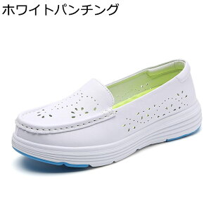 Xj[J[  i[XV[Y fB[X X|[cV[Y y @p Ōt m h y h EȒP EH[LO K  d p o fC[ tH