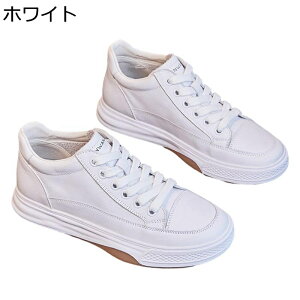 Xj[J[  i[XV[Y fB[X JWAV[Y y [XAbv d  h ~ Ռz Ȑ tBbg Vv ig ʋ EH[LO t