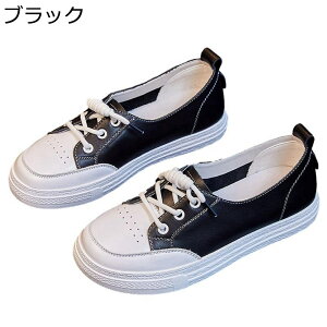 _bhXj[J[ vC fB[X  [XAbvV[Y tbg r y EH[LOV[Y h y h \tg  ig AEghA EH[LO tďH