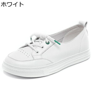 _bhXj[J[ vC fB[X  [XAbvV[Y tbg r y EH[LOV[Y h y h \tg  ig AEghA EH[LO tďH