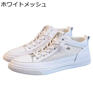 nCJbg fB[X Xj[J[ [XAbvV[Y vC  ҂ݏグ y EH[LOV[Y ^C h ~ Ռz _炩 tH s gx ʊw ItBX